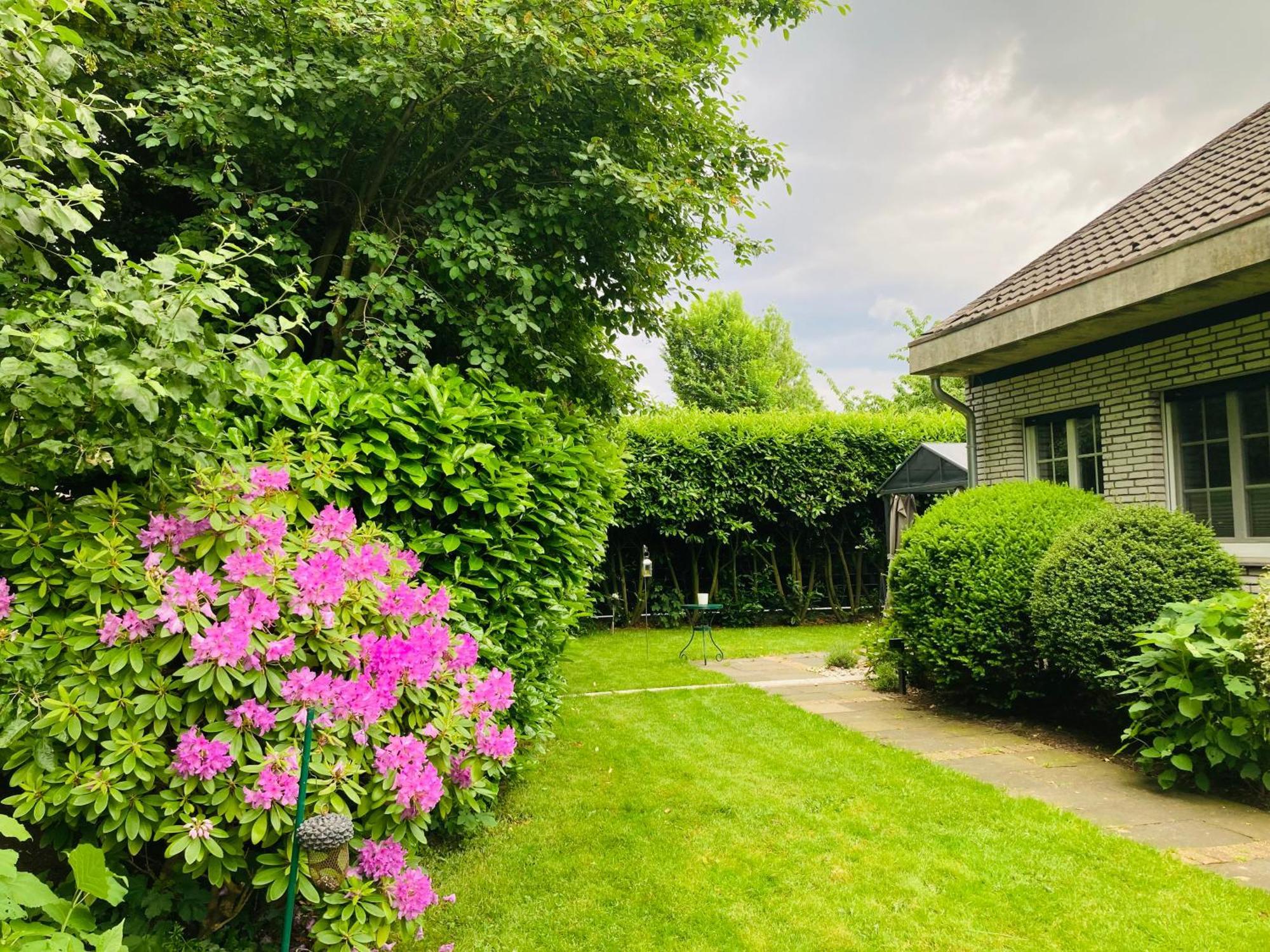 וייץ Ferienwohnung Im Haus Annabelle מראה חיצוני תמונה